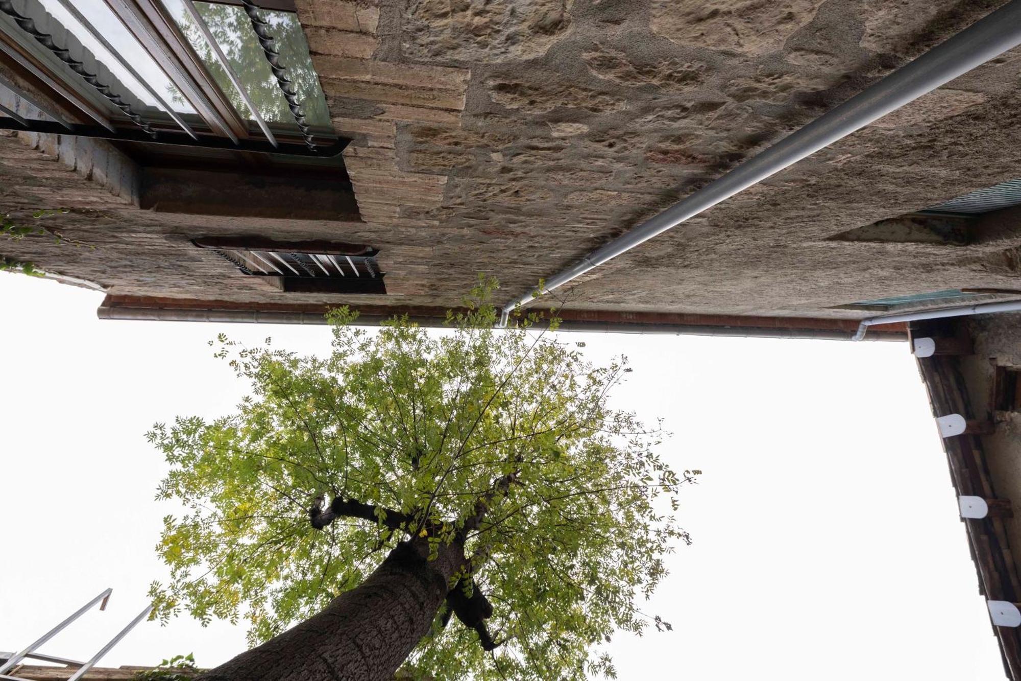 Hotel La Freixera Solsona Εξωτερικό φωτογραφία